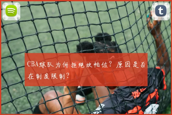 CBA球队为何拒绝坎帕佐？原因是否在制度限制？