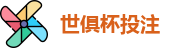 2025世界俱乐部杯